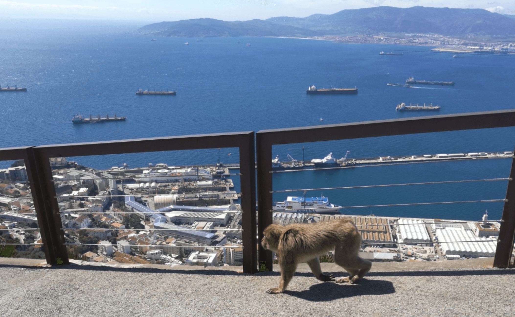 Laravel Route Resources: Efficient URL Handling